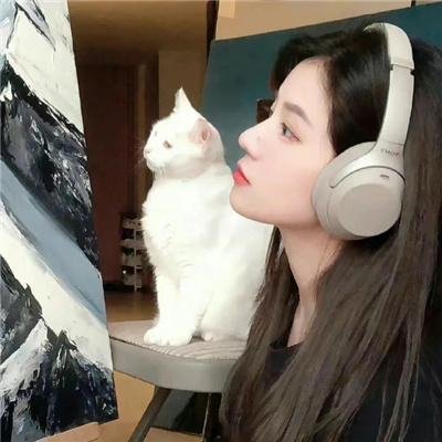 盖世奇才